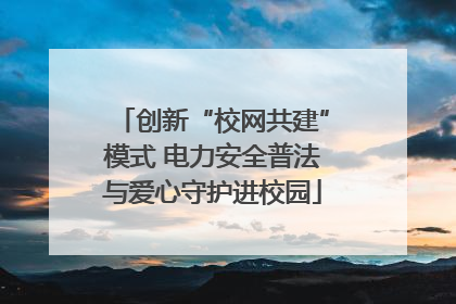 创新“校网共建”模式 电力安全普法与爱心守护进校园
