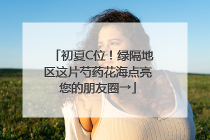初夏C位！绿隔地区这片芍药花海点亮您的朋友圈→