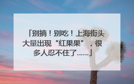 别摘！别吃！上海街头大量出现“红果果”，很多人忍不住了……