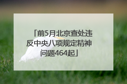 前5月北京查处违反中央八项规定精神问题464起
