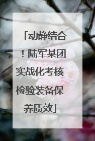 动静结合！陆军某团实战化考核检验装备保养质效