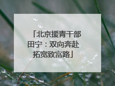 北京援青干部田宁：双向奔赴拓宽致富路