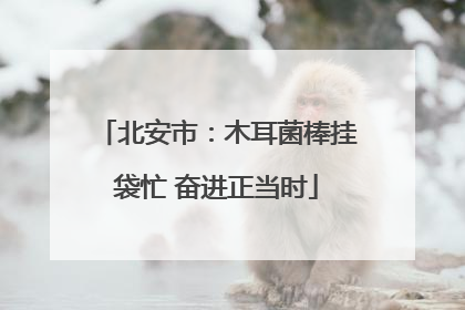 北安市：木耳菌棒挂袋忙 奋进正当时