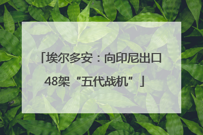 埃尔多安：向印尼出口48架“五代战机”