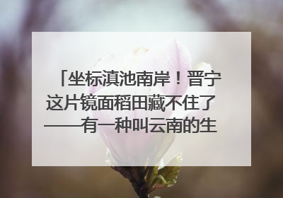 坐标滇池南岸！晋宁这片镜面稻田藏不住了——有一种叫云南的生活之365天