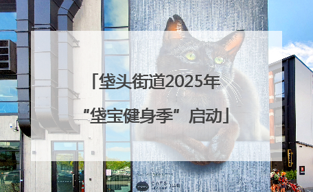 垡头街道2025年“垡宝健身季”启动