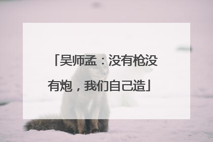 吴师孟：没有枪没有炮，我们自己造