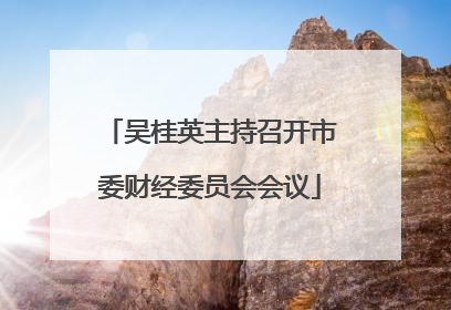 吴桂英主持召开市委财经委员会会议