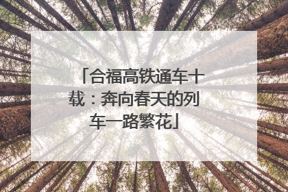 合福高铁通车十载：奔向春天的列车一路繁花