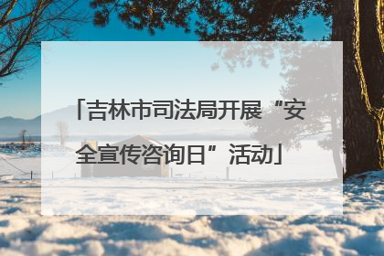 吉林市司法局开展“安全宣传咨询日”活动