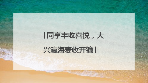 同享丰收喜悦，大兴瀛海麦收开镰