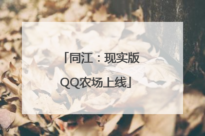 同江：现实版QQ农场上线