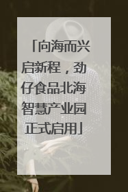 向海而兴启新程，劲仔食品北海智慧产业园正式启用