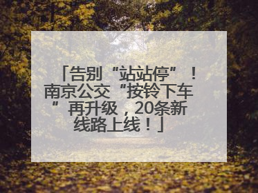 告别“站站停”！南京公交“按铃下车”再升级，20条新线路上线！