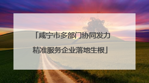 咸宁市多部门协同发力 精准服务企业落地生根