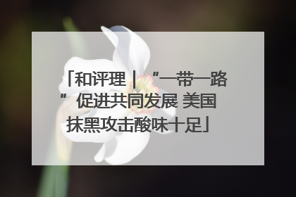 和评理｜“一带一路”促进共同发展 美国抹黑攻击酸味十足