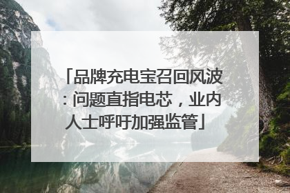 品牌充电宝召回风波：问题直指电芯，业内人士呼吁加强监管