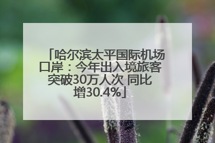 哈尔滨太平国际机场口岸：今年出入境旅客突破30万人次 同比增30.4%