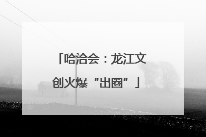 哈洽会：龙江文创火爆“出圈”