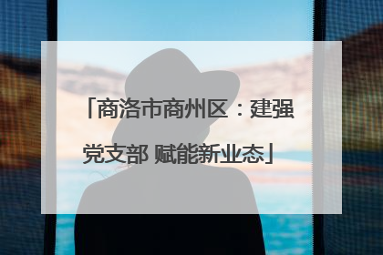 商洛市商州区：建强党支部 赋能新业态