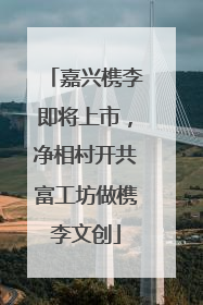 嘉兴槜李即将上市，净相村开共富工坊做槜李文创