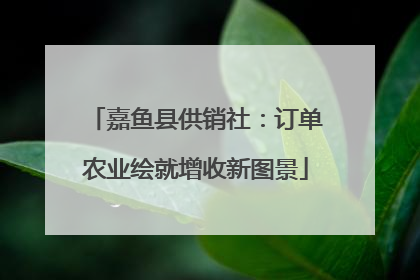 嘉鱼县供销社：订单农业绘就增收新图景