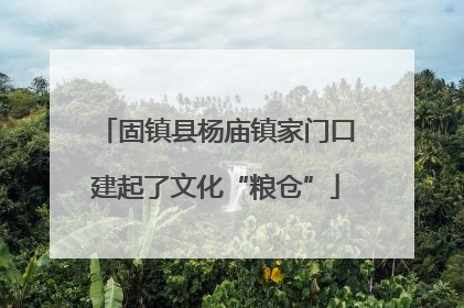 固镇县杨庙镇家门口建起了文化“粮仓”