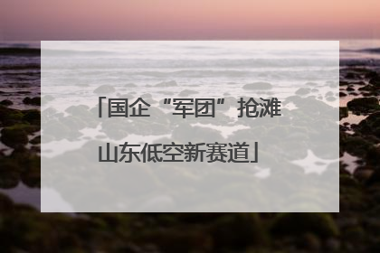 国企“军团”抢滩山东低空新赛道