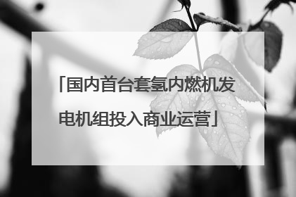 国内首台套氢内燃机发电机组投入商业运营