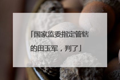 国家监委指定管辖的田玉军，判了