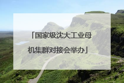 国家级沈大工业母机集群对接会举办