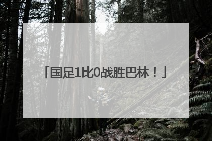 国足1比0战胜巴林！