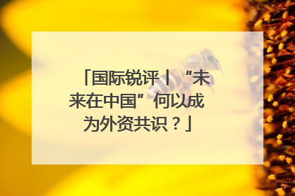国际锐评丨“未来在中国”何以成为外资共识？