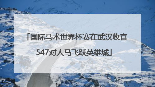国际马术世界杯赛在武汉收官 547对人马飞跃英雄城
