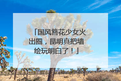 国风簪花少女火出圈，昆明真把墙绘玩明白了！