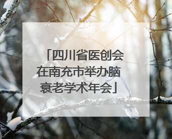 四川省医创会在南充市举办脑衰老学术年会