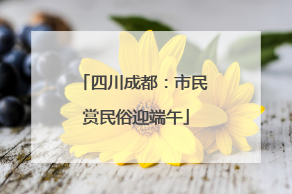 四川成都：市民赏民俗迎端午