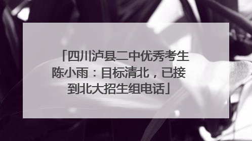 四川泸县二中优秀考生陈小雨：目标清北，已接到北大招生组电话