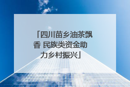 四川苗乡油茶飘香 民族类资金助力乡村振兴