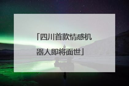 四川首款情感机器人即将面世
