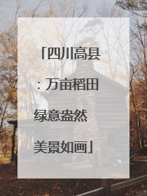 四川高县：万亩稻田绿意盎然 美景如画