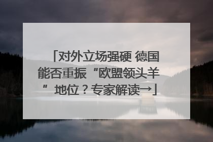 对外立场强硬 德国能否重振“欧盟领头羊”地位？专家解读→