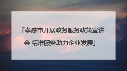 孝感市开展政务服务政策宣讲会 精准服务助力企业发展