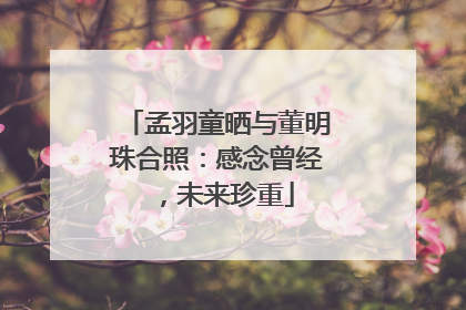 孟羽童晒与董明珠合照：感念曾经，未来珍重
