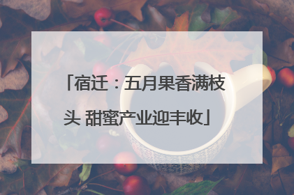 宿迁：五月果香满枝头 甜蜜产业迎丰收