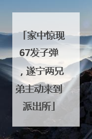 家中惊现67发子弹，遂宁两兄弟主动来到派出所