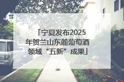宁夏发布2025年贺兰山东麓葡萄酒领域“五新”成果