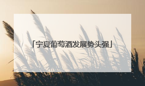 宁夏葡萄酒发展势头强