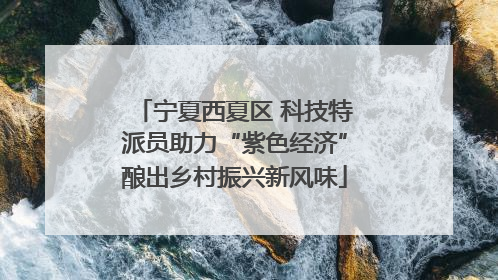 宁夏西夏区 科技特派员助力“紫色经济”酿出乡村振兴新风味