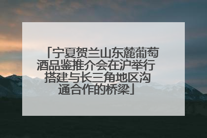 宁夏贺兰山东麓葡萄酒品鉴推介会在沪举行 搭建与长三角地区沟通合作的桥梁